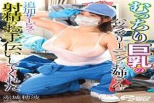 DVRT-022 Honami Akagi Who Helped Ejaculation With An Additional Service By A Plump Big Tits House Cleaning Sister