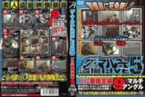 ALX-561 The Multi Voyeur LIVE 5 Building Security Room Edition – Mami Iijima