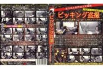 PPD-011 picking voyeur LIFE-11