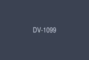 DV-1099 Venus Festa 4 Manufacturer Exclusive Actress Dream Gangbang Special! !