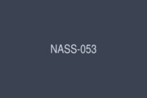 NASS-053 Obedient Housewives: Housewives who are humiliated, punished, and trained