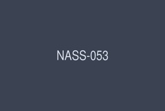 NASS-053 Obedient Housewives: Housewives who are humiliated, punished, and trained