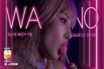 CUS-2072 Elephant Media Sexy Charming Bunny