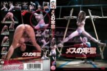 ADV-R0414 female prison