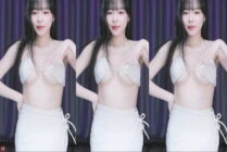 KBJ-24110906 kbj24110906_navi04_20240825