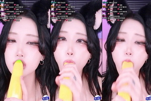 KBJ-25011847 kbj25011847_twingo1125_20241127