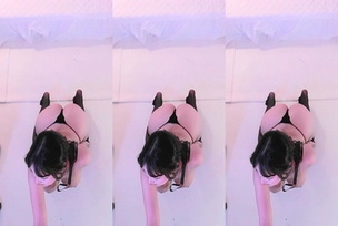 KBJ-25012847 kbj25012847_hidana_20241205