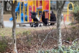 FC2-PPV-4821039 [Individual] ** A self-proclaimed influencer's wife was playing with her friend in the park and was taken out in the car… ~ Bonus removed on December 31st